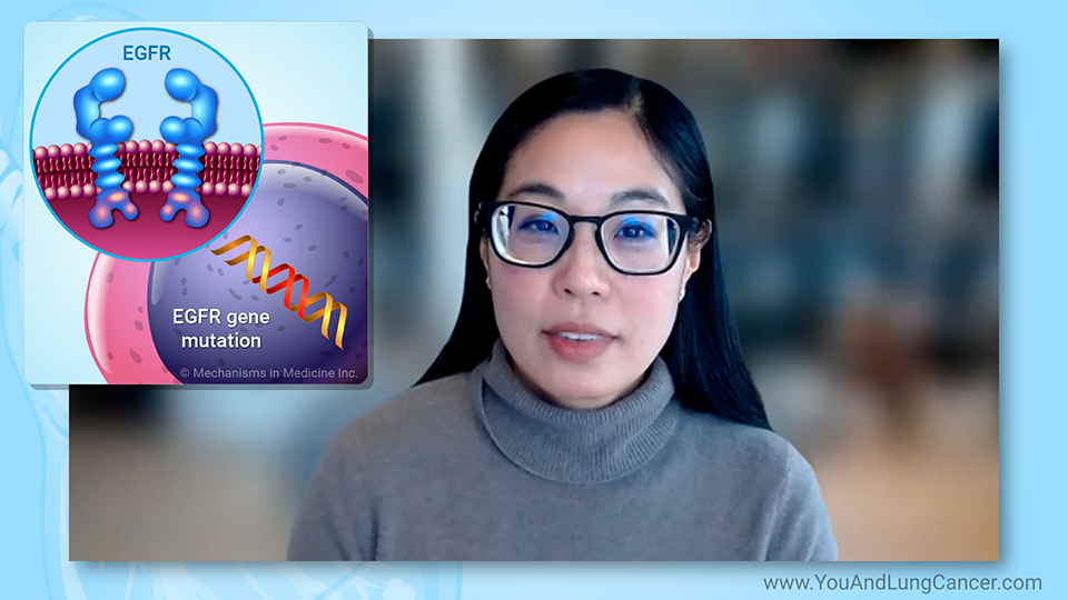 What is an EGFR mutation in lung cancer?